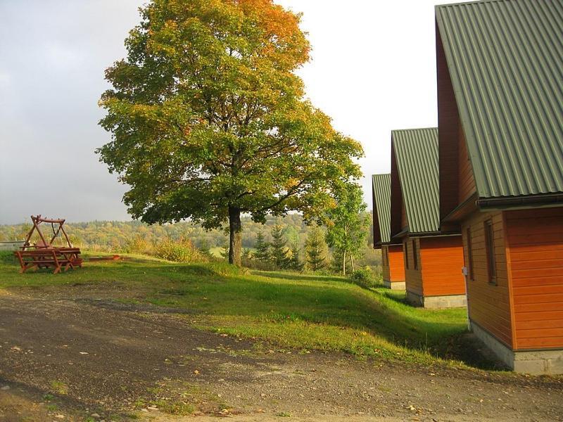 Caloroczne Domki Zacisze Hnatowego Berda W Wetlinie Ветлина Екстериор снимка